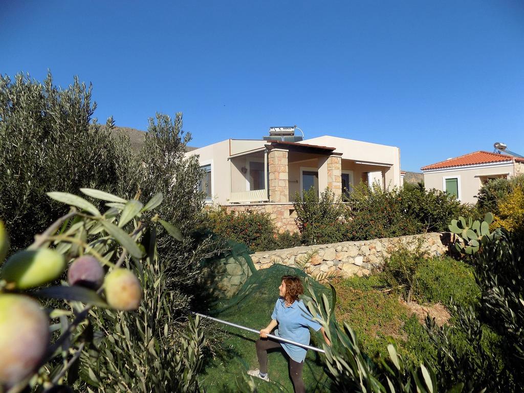 Alkionides Villas أكسيروكامبوس المظهر الخارجي الصورة