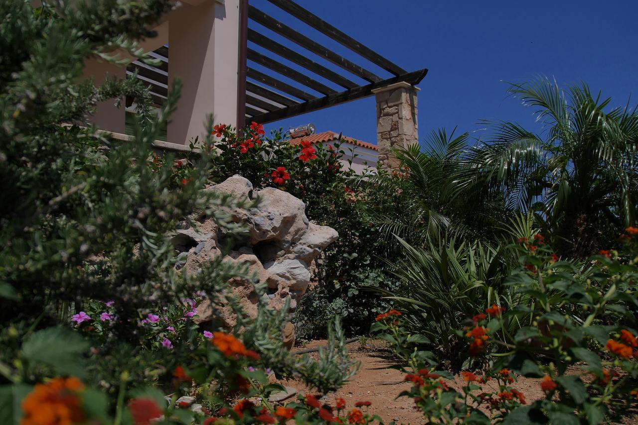 Alkionides Villas أكسيروكامبوس المظهر الخارجي الصورة